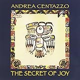 CTHE SECRET OF JOY                                 image