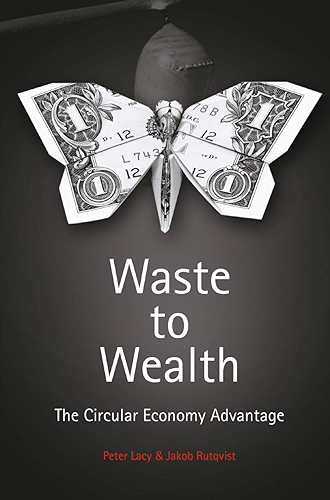 Download Waste to Wealth: The Circular Economy Advantage (English Edition) PDF