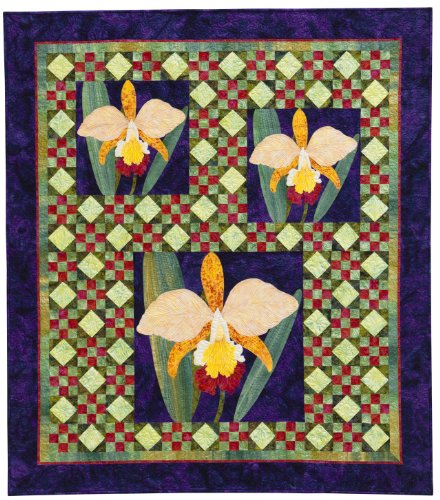 Flower Show Quilts: Stunning Appliqu on a Patchwork Canvas