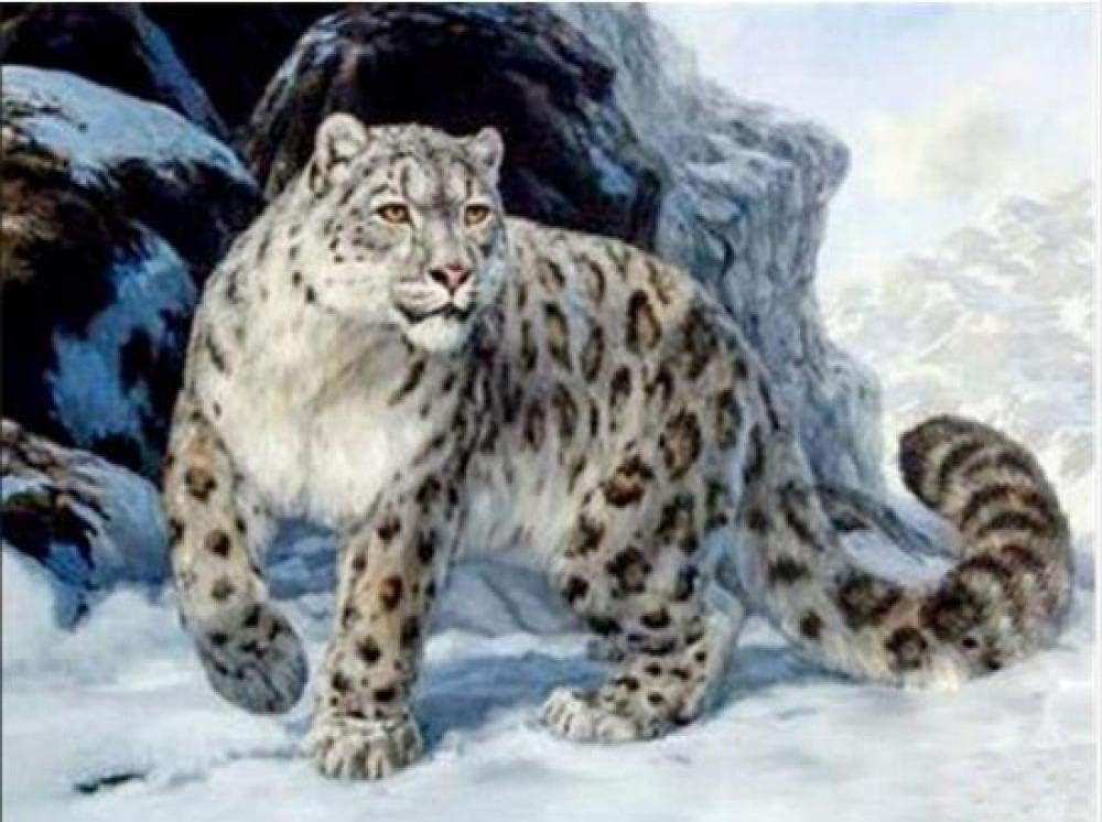 MXXHS DIY 5D Diamond Painting Kits for Adults Full Drill Snow Leopard Cross Stitch Kit Diamond Painting Kits Rhinestone Embroidery Diamond Art for Home Decor Living Room 30x40cm Frameless