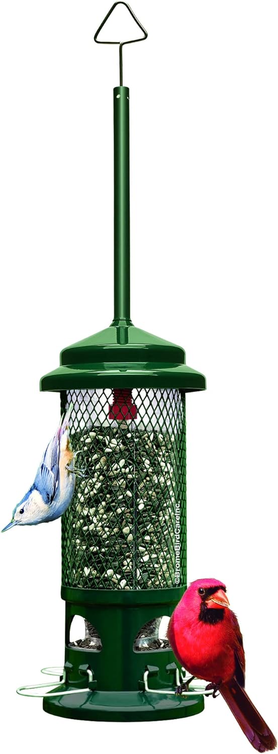 Backyard Birding & Wildlife - Squirrel Buster Standard Squirrel-proof Bird Feeder w/4 Metal Perches, 1.3-pound Seed Capacity, garden green