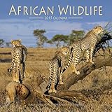 African Wildlife Calendar - 2015 Wall calendars - Animal Calendar - Monthly Wall Calendar by Avonsid by 