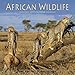 African Wildlife Calendar - 2015 Wall calendars - Animal Calendar - Monthly Wall Calendar by Avonsid by 