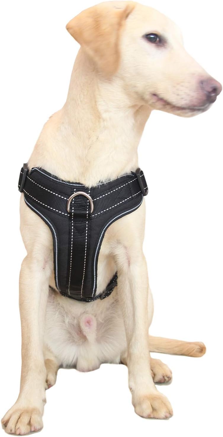 Maxpower Dog Harness No Pull Harness with Handle
