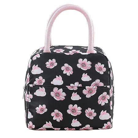 DaoRier 1pcs Bolsa Térmica Plegable Bolso Nevera Térmica Tela ...