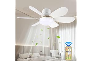 VallisCo Modern Ceiling Fan with LED Light - Quiet Motor, Ceiling Fan with Light and Remote Control, 3 Speed & Color Temperature Settings Energy Efficient,for Living Room, Bedroom, Easy Install