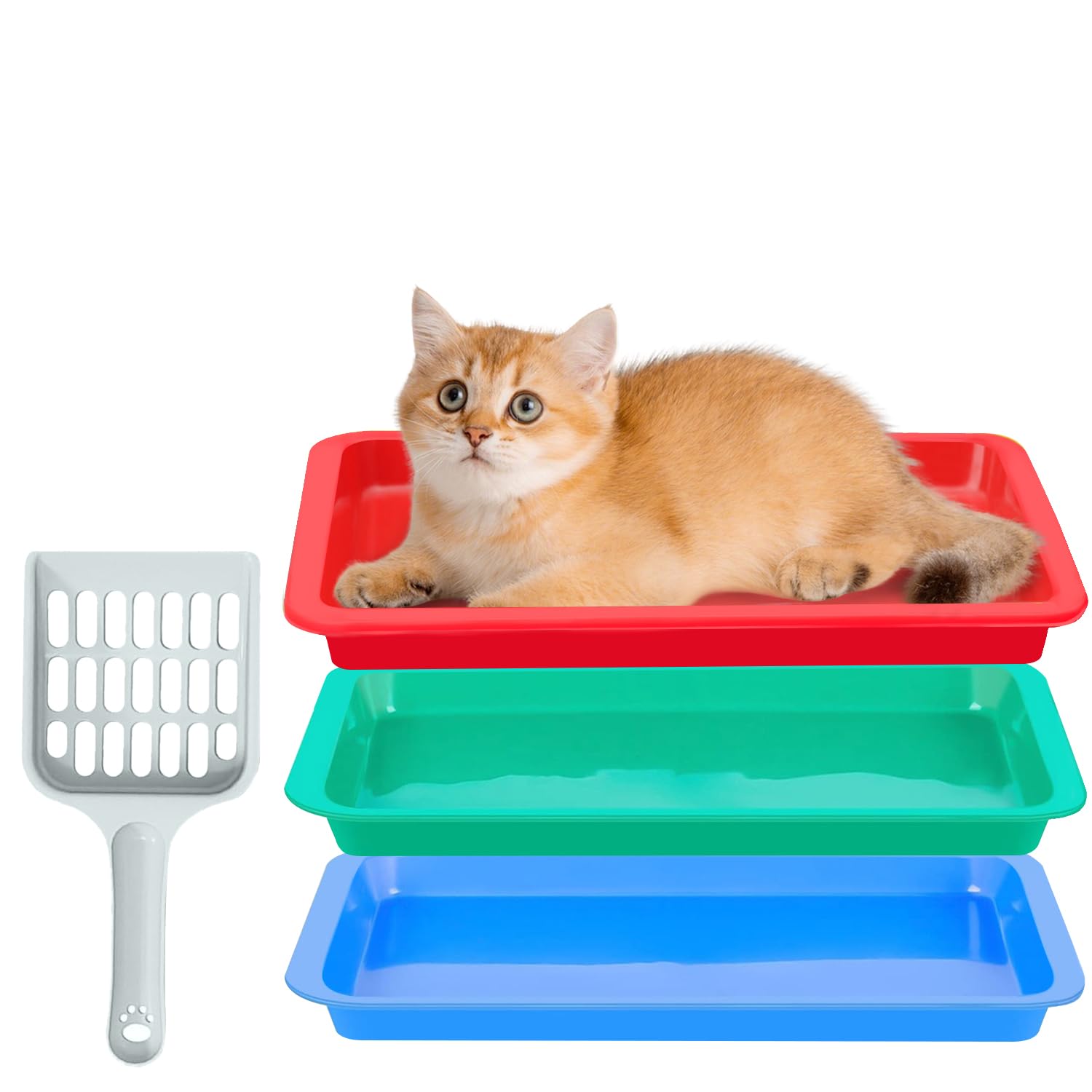 Photo 1 of 3 Pcs Kitten Litter Box with 1 Scoop,9.6" Plastic Portable Nonstick Small Litter Pan Low Entry Waterproof Bunny Cat Litter Box,Multi Color Litter Tray Travel Toilet for Small Pet Guinea Pig Rabbit