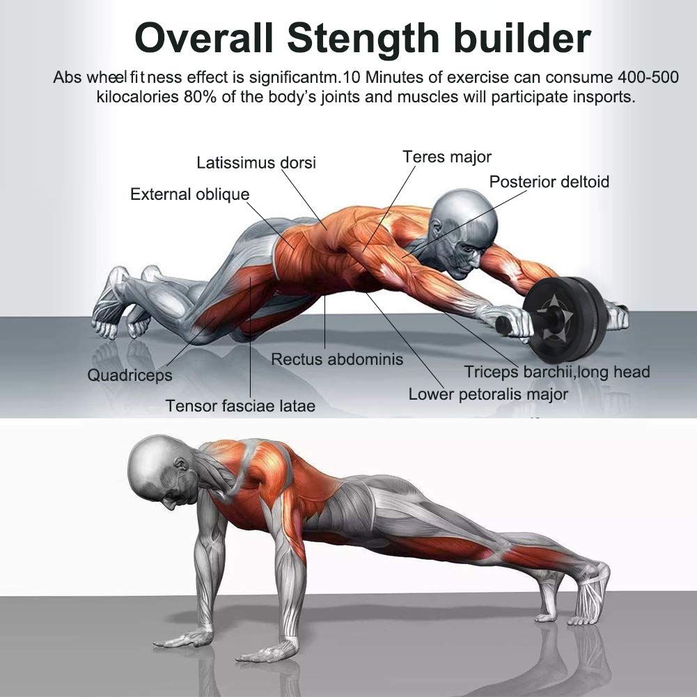 EnterSports Ab Rollers Wheel Kit, Exercise Wheel Core Strength Training Abdominal Roller Set with Push Up Bars… - Image 5