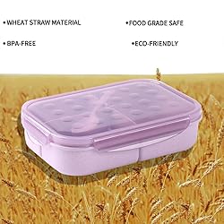 UPTRUST Bento Lunch container For Kids, Lightweight