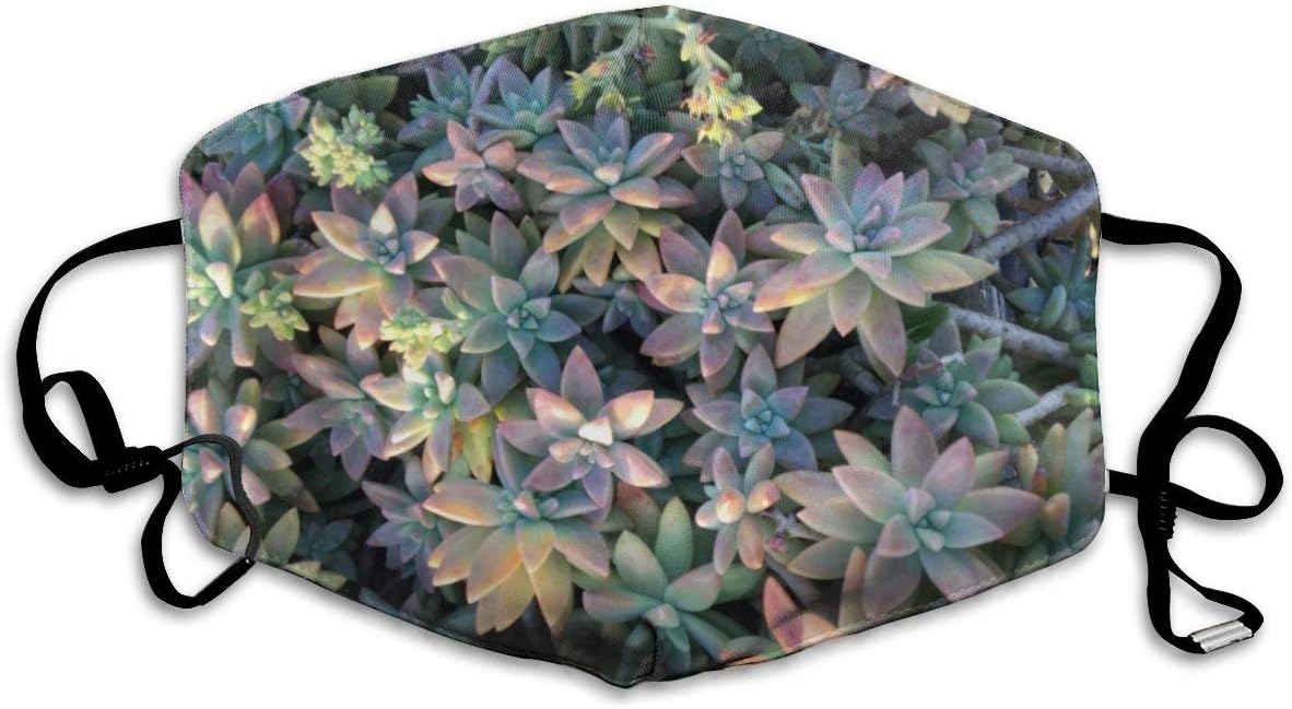 Face Masks, Breathable Dust Filter Masks Medical Mask Mouth Cover Masks with Elastic Ear Loop (Starry Cactus Plant with Pink, and Green Embellish)