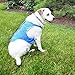 LotFancy Dog Cooling Vest Jacket Coats Swamp Cooler for Puppies Cats Kittens Pets (Blue, Small 7.8”-9”)