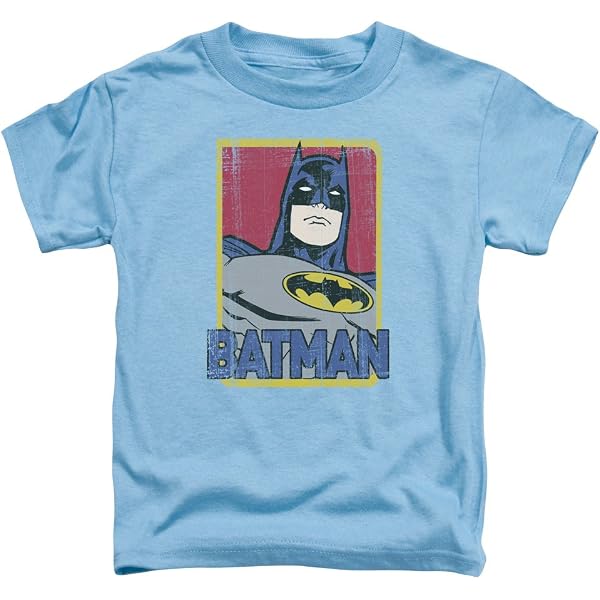 Batman & Robin Father And Son Matching T-Shirt