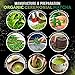 Organic Ceremonial Matcha - Best Taste - USDA Organic - Energy Booster - Green Tea Powder (2oz)