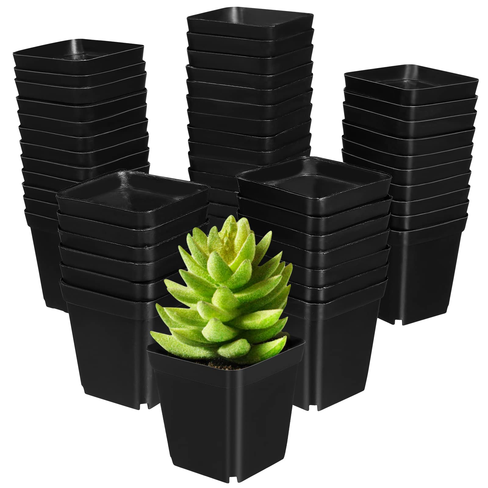 Yardwe 50PCS Square seedlings pots succulent planters plastic flower plant basket for garden greenhouse 6x6x6.5cm (black)