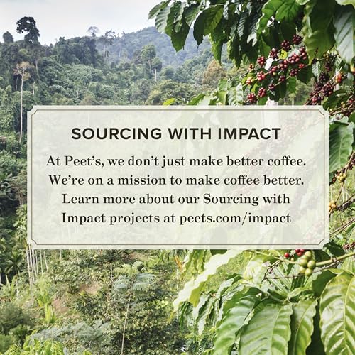 PEET’S COFFEE, ULTRA COFFEE CONCENTRATE, INSTANT HOT, COLD BREW, OR ICED COFFEE, 100% ARABICA COFFEE – ESPRESSO FORTE, 8 FLUID OUNCE BOTTLE (16 SERVINGS)