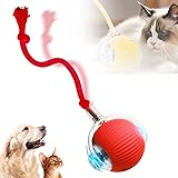 61PSu0g0upL. AC UL160 SR160,160