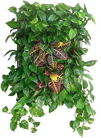 Jardín Vertical: Amazon.es: Jardín
