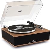 ANGELS HORN Vinyl Record Player, Bluetooth Turntable with Built in Speakers | High Fidelity Turntables for Vinyl Records with Built in Phono Preamp,Magnetic Cartridge AT-3600L, Belt Drive 2-Speed