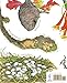 A Nest Is Noisy: (Nature Books for Kids, Children's Books Ages 3-5, Award Winning Children's Books) (Sylvia Long)