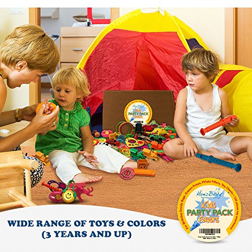 Party Packs Favors for Kids - 125 Pc Toy Assortment for Boys and Girls – Bulk Small Toys for Birthday Goody Bags, Games Prizes, Pinata Fillers, Toy Chests