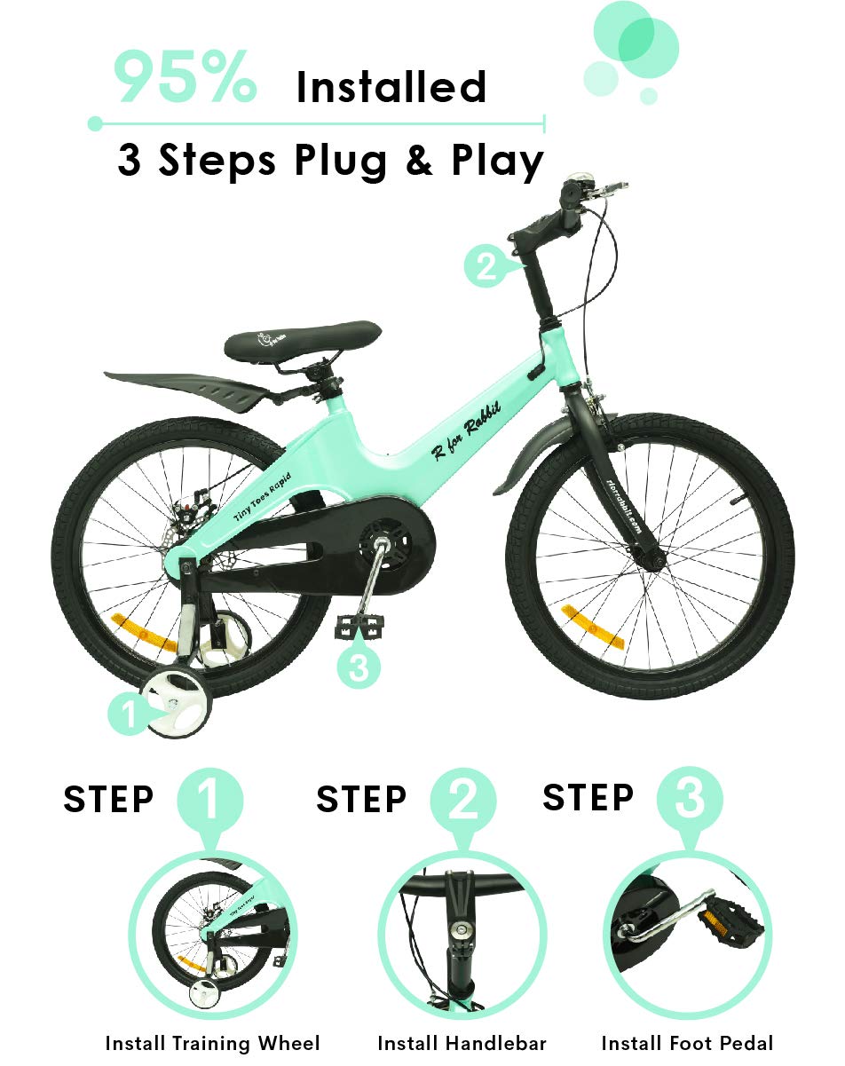 r for rabbit cycle amazon