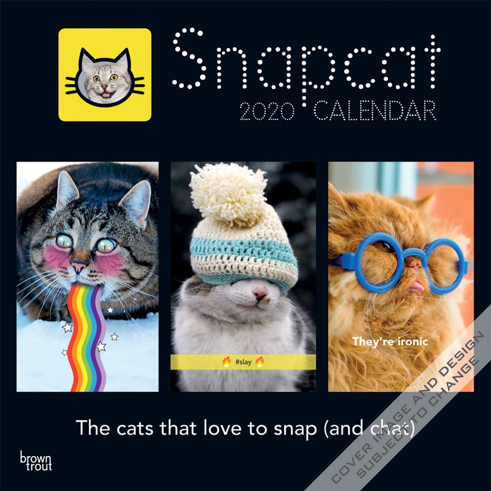 Snapcat 12 X 12 Inch Monthly Square Wall Calendar Cats Pets Feline Humor Browntrout Publishers Inc Browntrout Publishers Editing Team Browntrout Publishers Design Team Browntrout Publishers Design Team Amazon Com Books