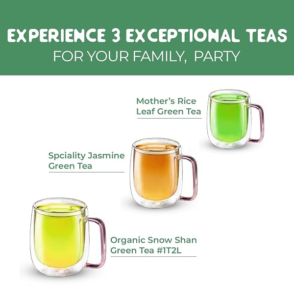 SACHS TEA 1773 HERITAGE GREEN TEAS ASSORTMENT, TEA SAMPLER | HIGH CAFFEINE & RICH FLAVOR – STRONG AND SMOOTH – SUGAR-FREE, NON-GMO, KETO| INDIVIDUALLY WRAPPED TEA BAGS