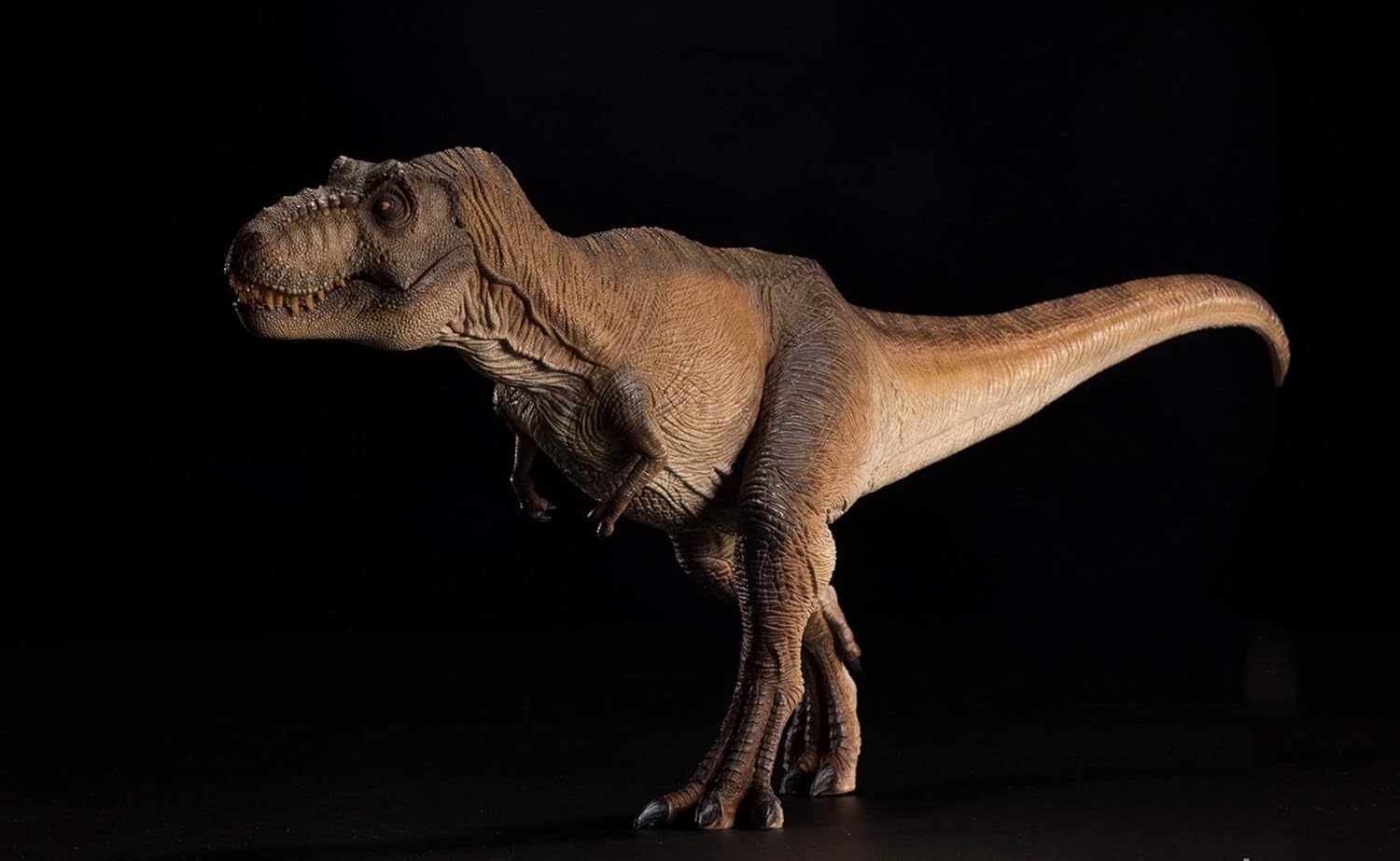 Amazon Nanmu 本心楠改 1 35 サイズ Alpha ティラノサウルス Tレックス ｔ Rex 大きい 肉食 恐竜 リアル フィギュア Pvc プラモデル おもちゃ 模型 プレゼント プレミアム 41cm級 オリジナル 塗装済 完成品 ブラウン フィギュア ドール 通販