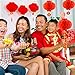 Coopay 10 Pack Chinese Red Lanterns Festival Decorations for New Year, Spring Festival, Wedding, Restaurant Decoration