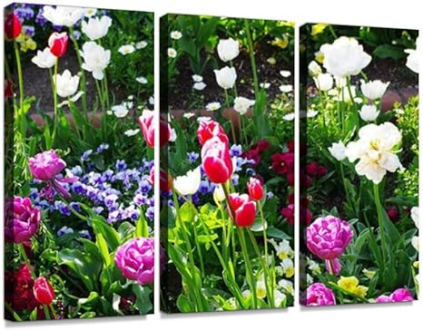 Amazon チューリップ パンジー札幌 花 大通公園 チューリップ パンジー Sapporo Flower Odoripark 絵画 アートパネル キャンバス 壁掛け インテリア アートパネル ウォールアート ポスター 壁掛け モダン アート オフィス リビング 玄関 アートフレーム ポスター
