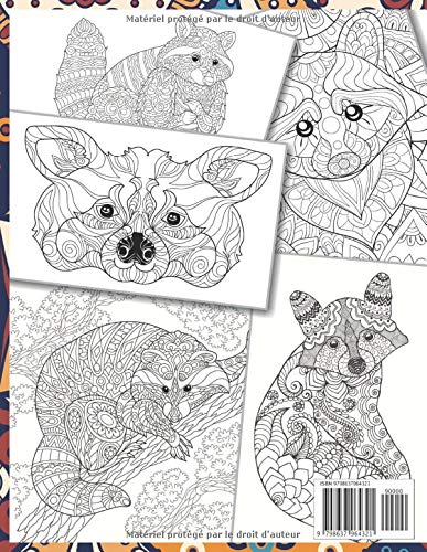 Bebe Raton Laveur Livre De Coloriage French Edition Doucet Lyna Amazon Com Books