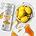 Botonics Sparkling Organic Apple Cider Vinegar Tonic, Variety Pack, 12 Ounce (Pack of 12)