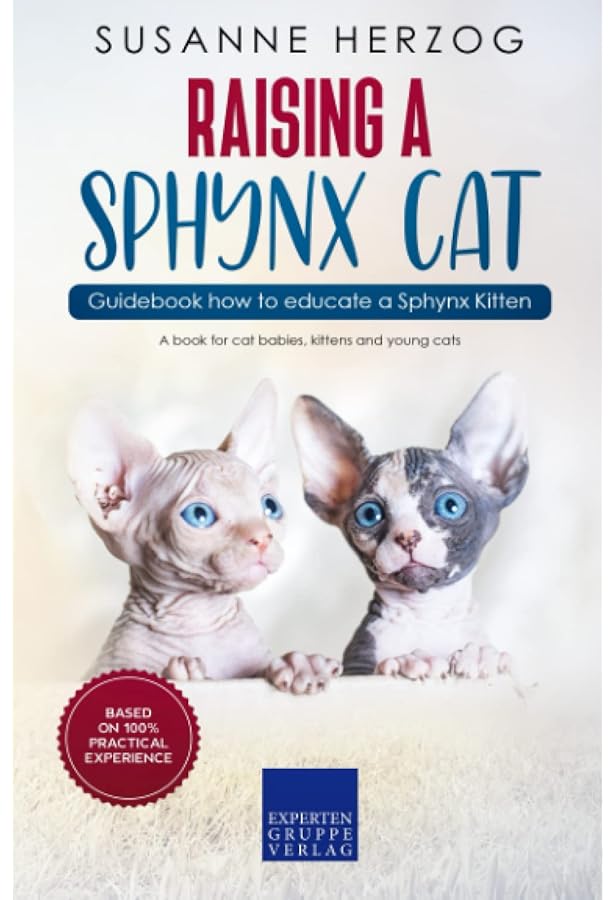 sphynx cat essentials