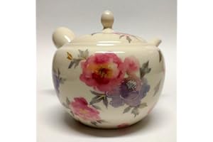 Japanese Teapot Kyusu / tokoname Kiln / pottery studio Sho / 10.8 fl oz