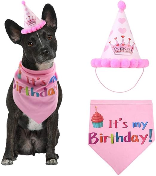 dog hat pets at home