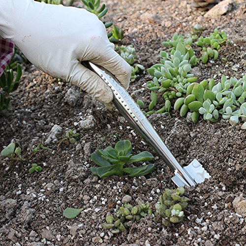 Mini Garden Tool Set, 3PCS Stainless Steel Heavy Duty Gardening Kit with Transplanting trowel, Cultivator hand rake, Weeding Fork for Digging & Planting - Thumbnail 6