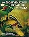 The Most Amazing Creature in the Sea