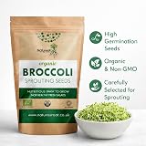 Natures Root Organic Broccoli Sprouting Seeds 250g Non GMO Microgreen view 3