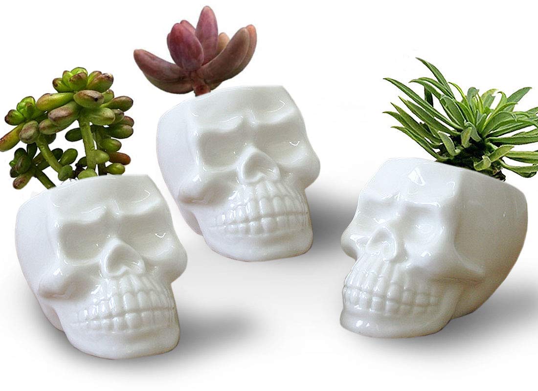 VanEnjoy Set of 3 Ceramic Skull succulent Pots and Planters Creative Cactus Plant Pot Pen Pencil Holder, Home Office Bedroom desk Decoration