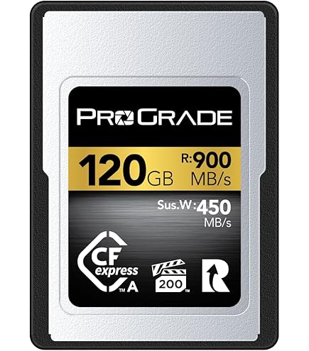 Amazon.com: Lexar Gold Series Professional 160GB CFexpress