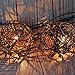 Pansdore Christmas Lights 10 Bulbs Brown Rattan Ball String Lights Warm White for Party Patio Garden Outdoor Indoor Decoration, Green Wire