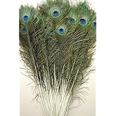 10 Pcs Natural Peacock Feathers: Long and Lush, 35"-40"