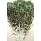 50 Pcs Peacock Feathers 35