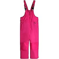 Amazon.com : Burton Toddlers Maven Bib Pants, Amparo Blue, 18