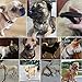 Beirui Brown Genuine Leather Dog Collars for Medium and Large Dogs Neck for 16-21 inches
