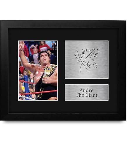 Amazon.com: HWC Trading Sting Framed Gift Signed Printed Autograph