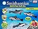 Smithsonian Dolphins PerfectCast Cast, Paint, Display and Learn Craft Kit