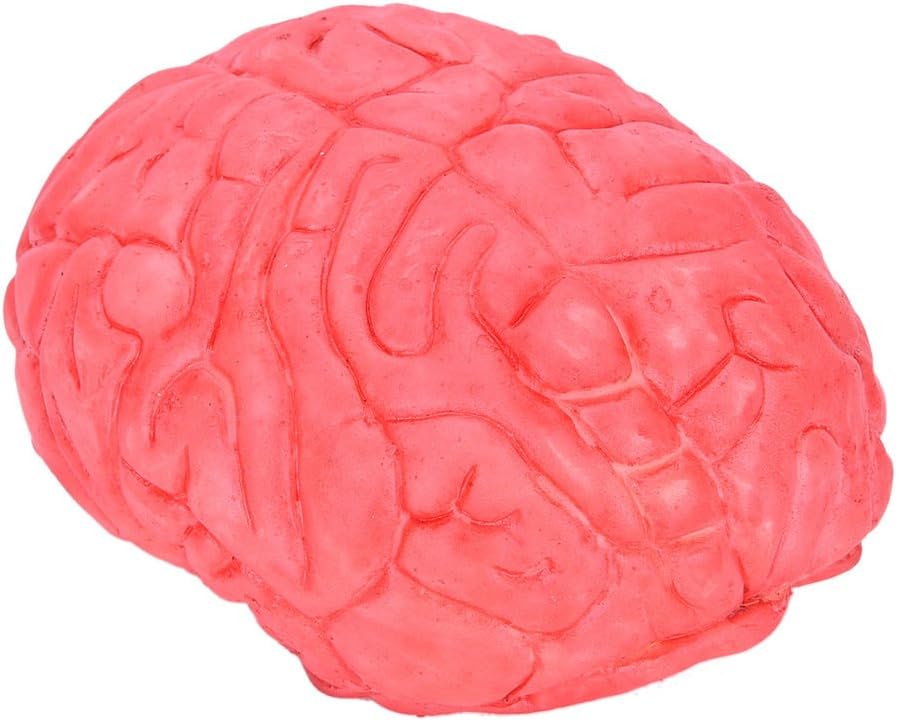 MACRHEE--Scary Haunted House HUMAN BRAIN Organ Body Part Halloween Horror Prop Decor USHU