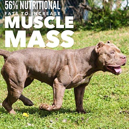 MVP K9 Formula Mass Weight Gainer for Dogs Helps Promote Healthy