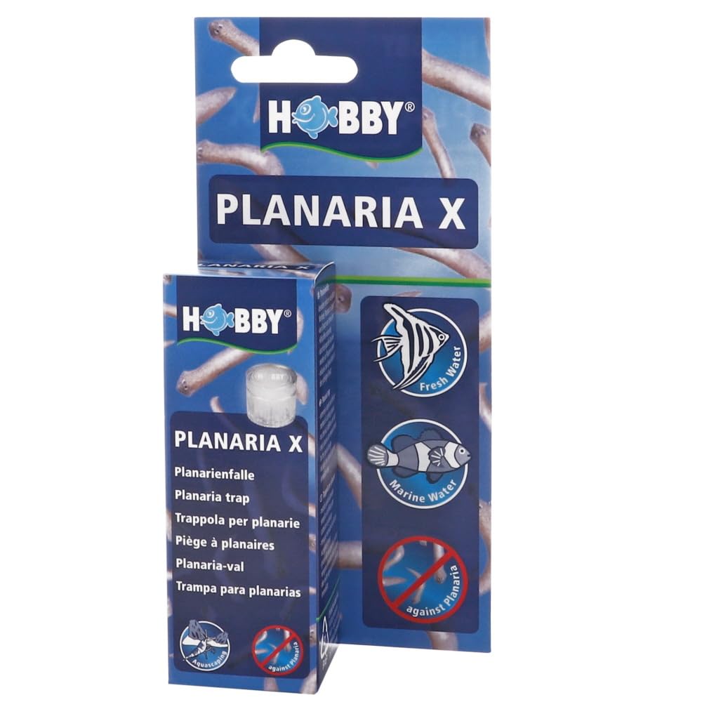 Hobby Planaria